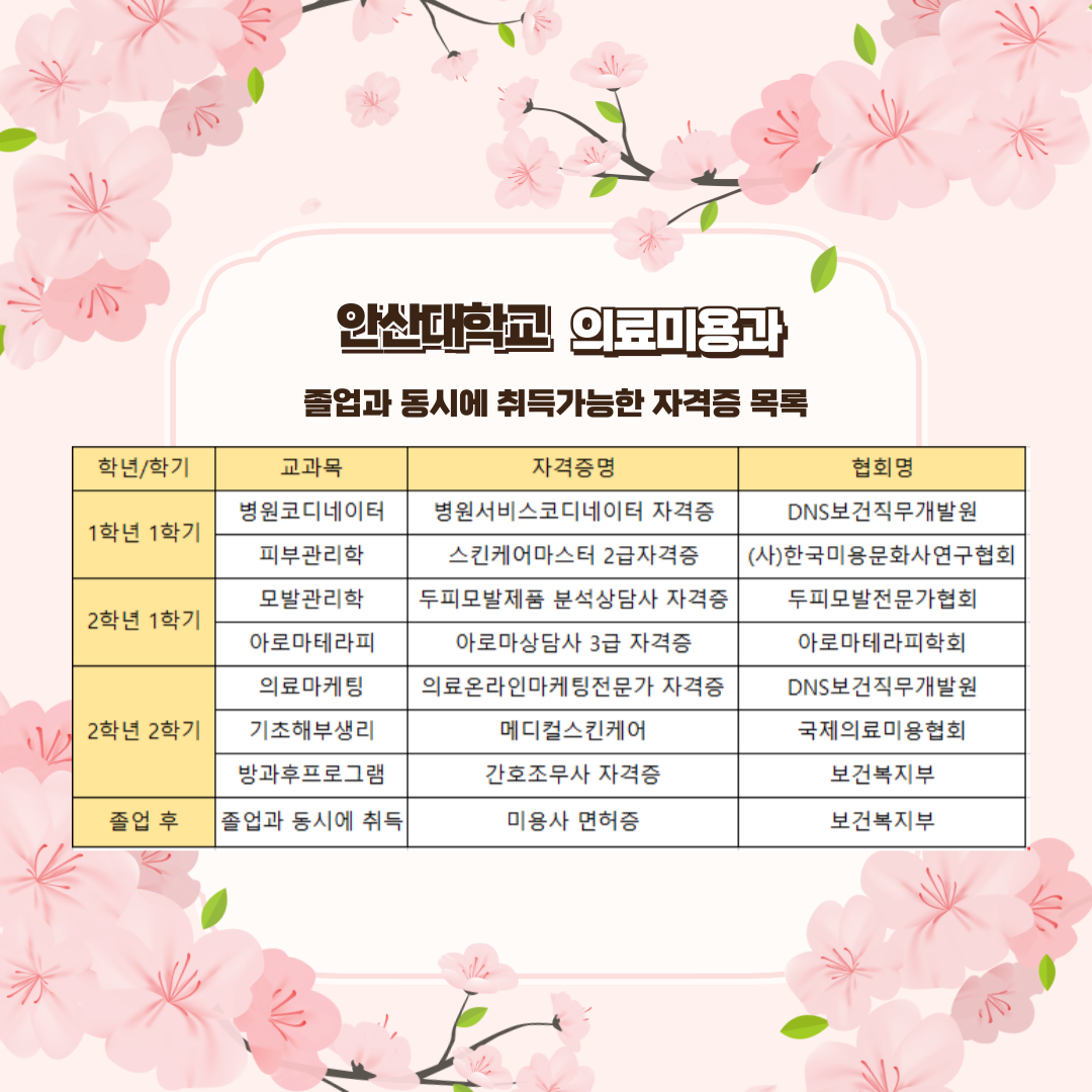 의료미용과 자격증.png